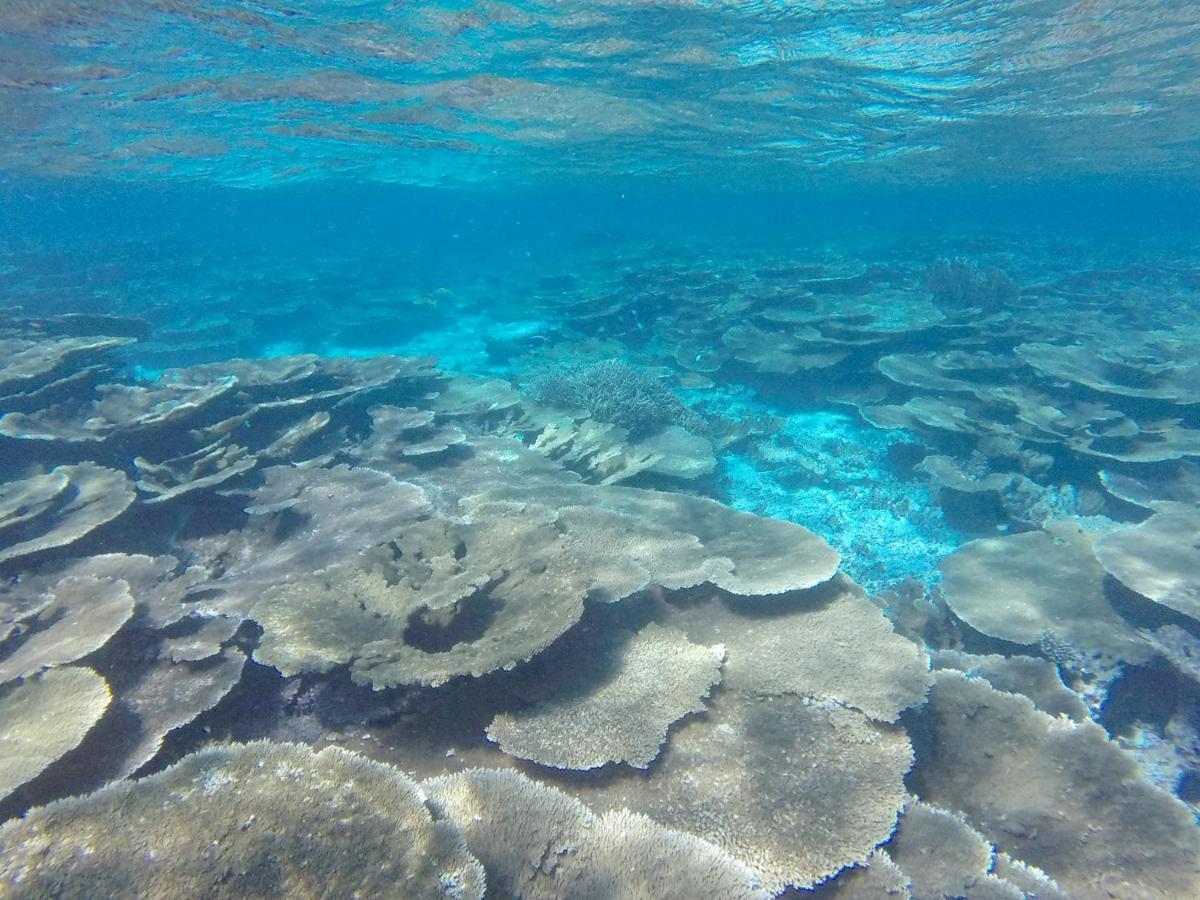 Ukulhas Beach Inn Exteriér fotografie